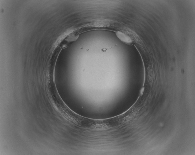 X0000068260536200604211047