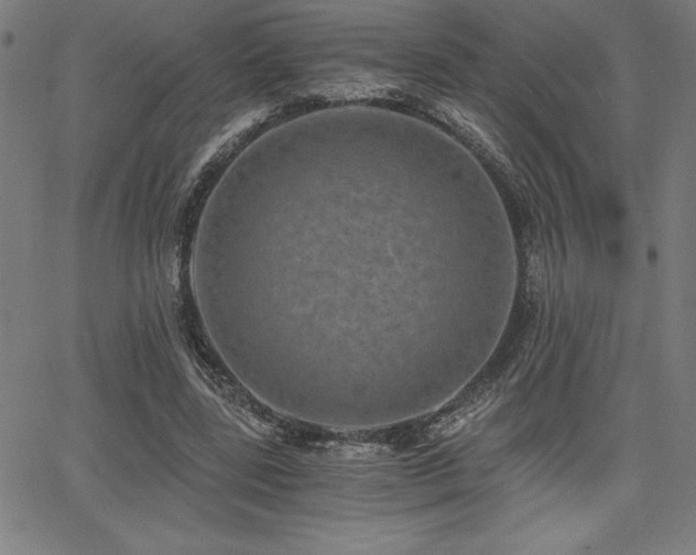 X0000068260539200604211047