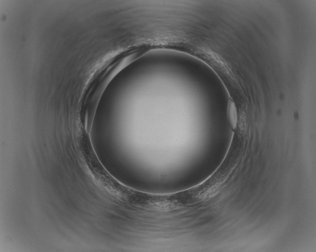 X0000068260540200604211047