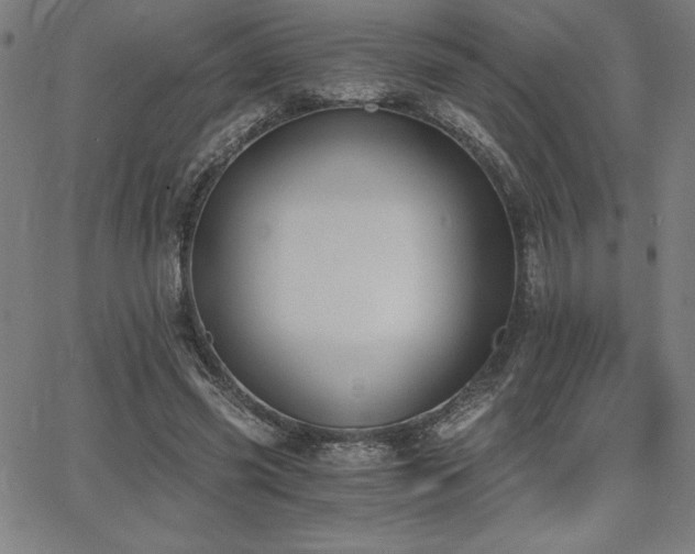 X0000068260541200604211047