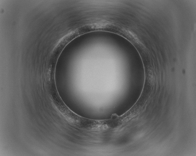 X0000068260543200604211047