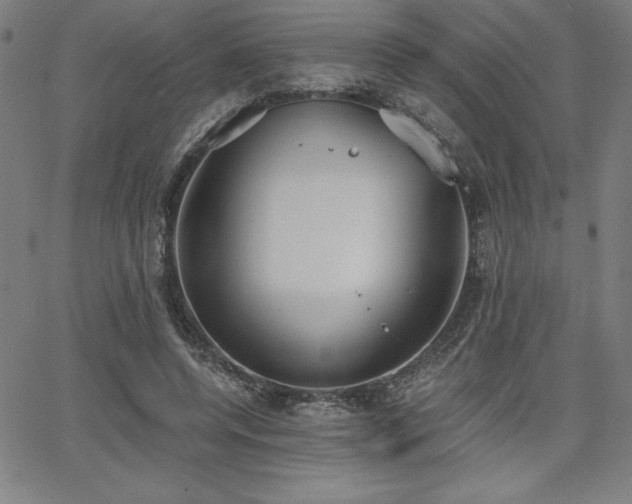 X0000068260544200604211047