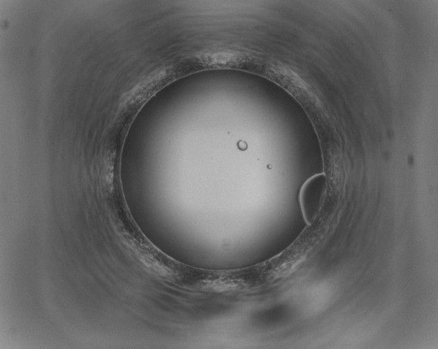 X0000068260545200604211047