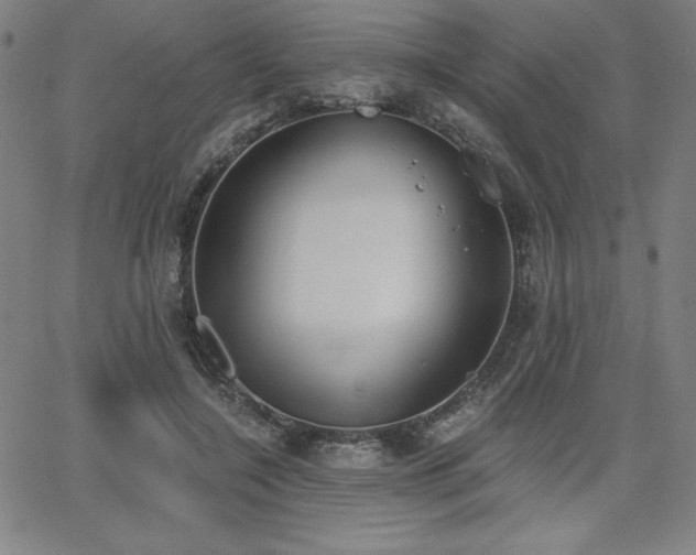 X0000068260548200604211047