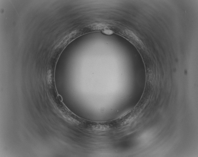 X0000068260549200604211047