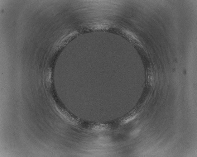 X0000068260550200604211047