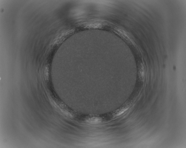 X0000068260551200604211047