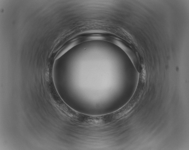 X0000068260552200604211047