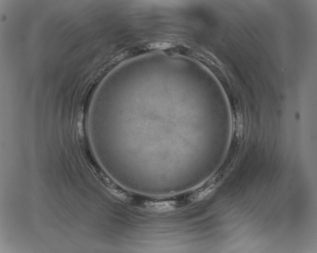 X0000068260553200604211047