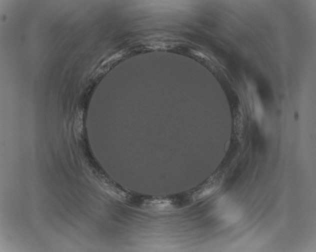 X0000068260554200604211047