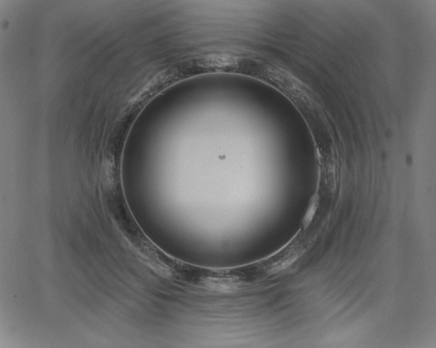 X0000068260556200604211047