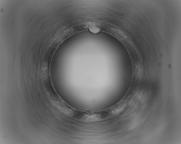 X0000068260557200604211047