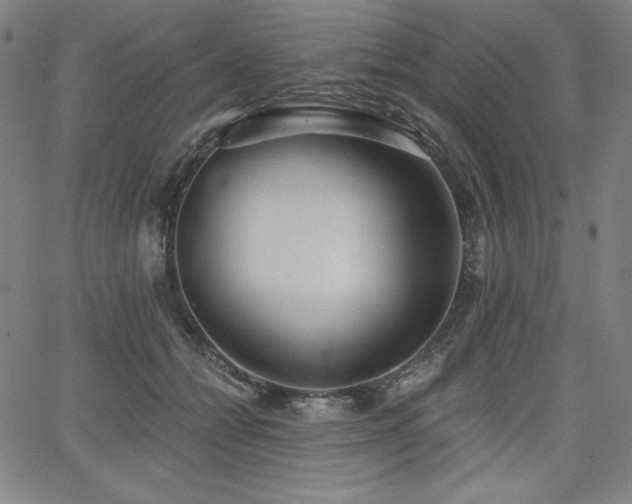 X0000068260558200604211047