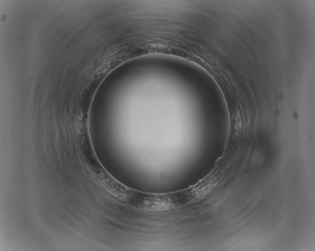 X0000068260559200604211047