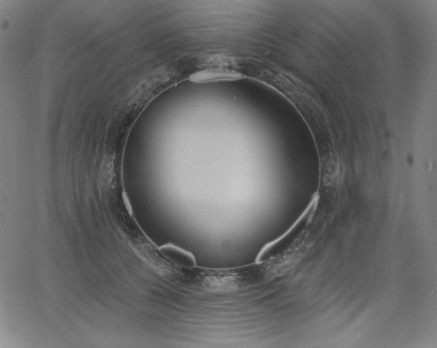 X0000068260560200604211047