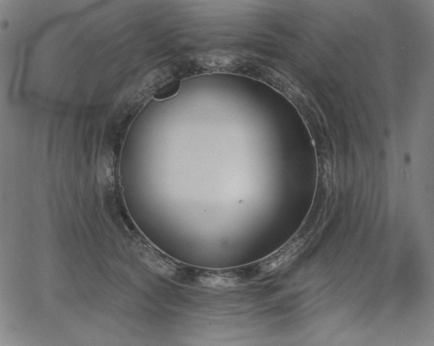 X0000068260561200604211047