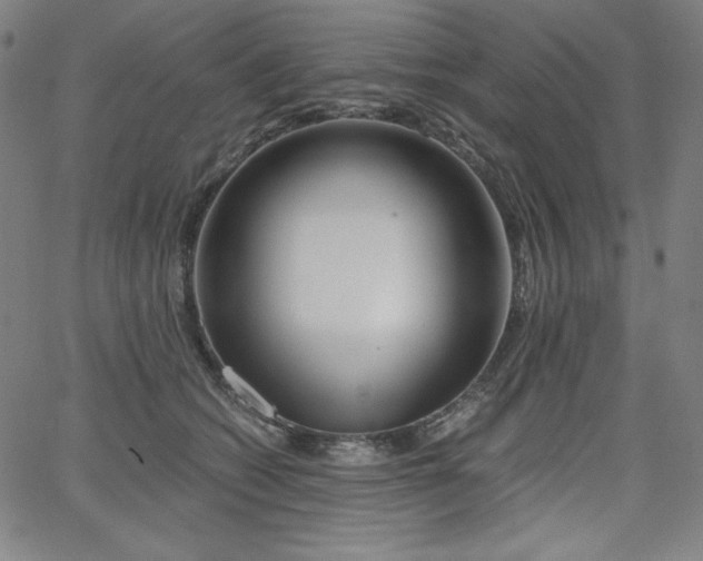 X0000068260562200604211047