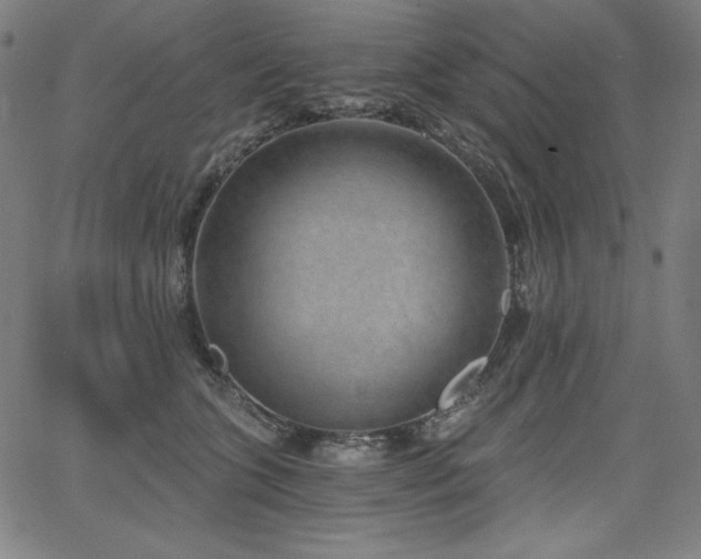 X0000068260563200604211047