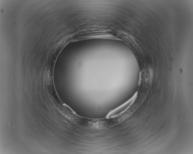 X0000068260564200604211047