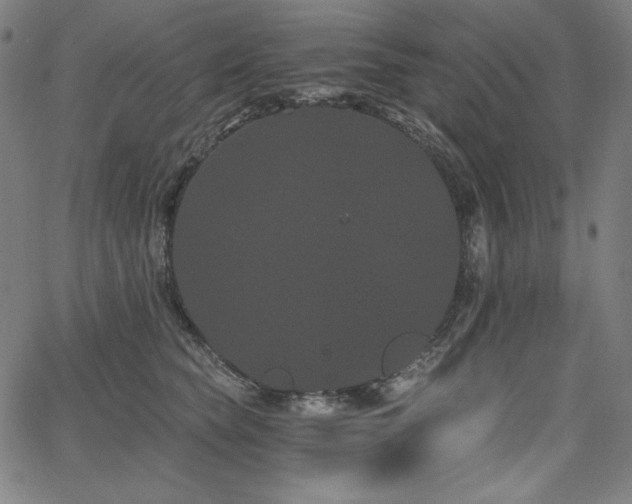 X0000068260565200604211047