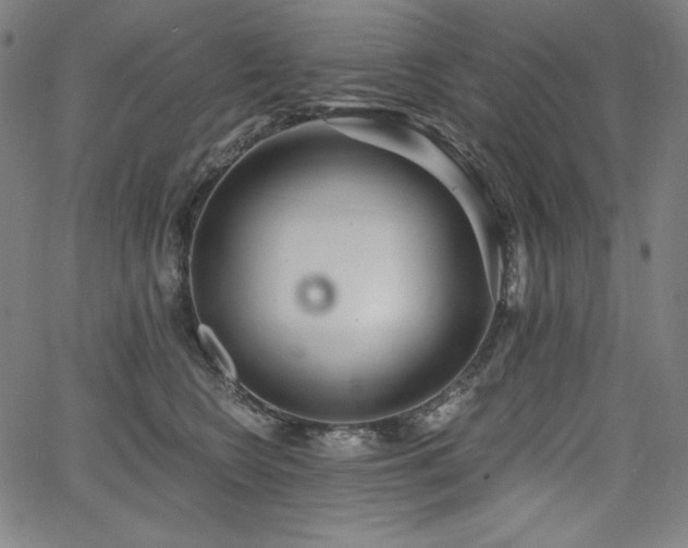 X0000068260566200604211047