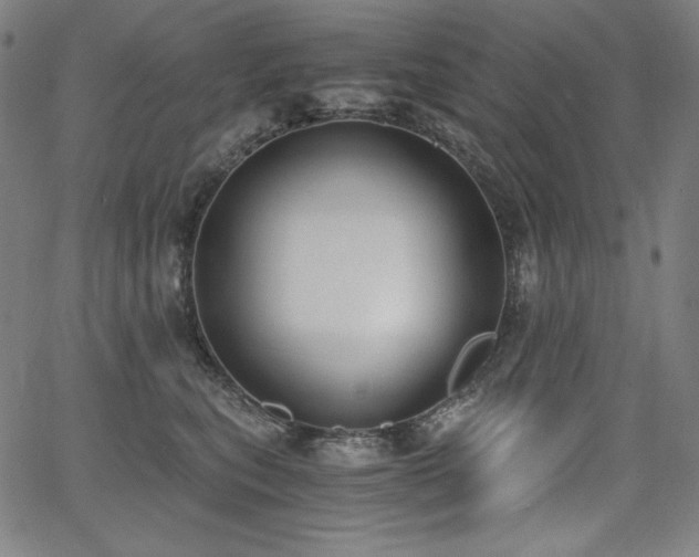 X0000068260567200604211048