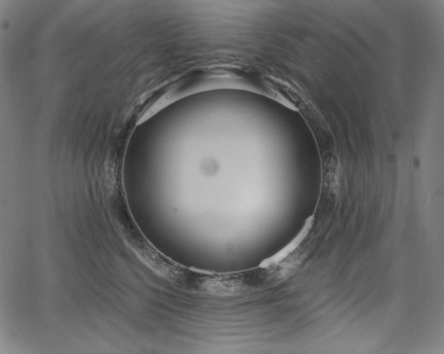 X0000068260568200604211048