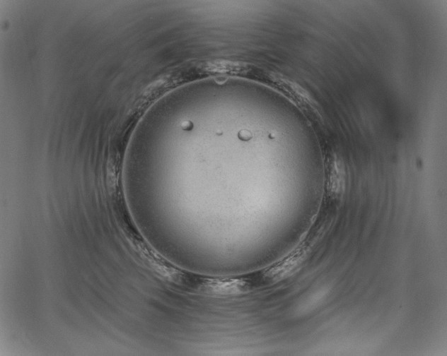 X0000068260569200604211048