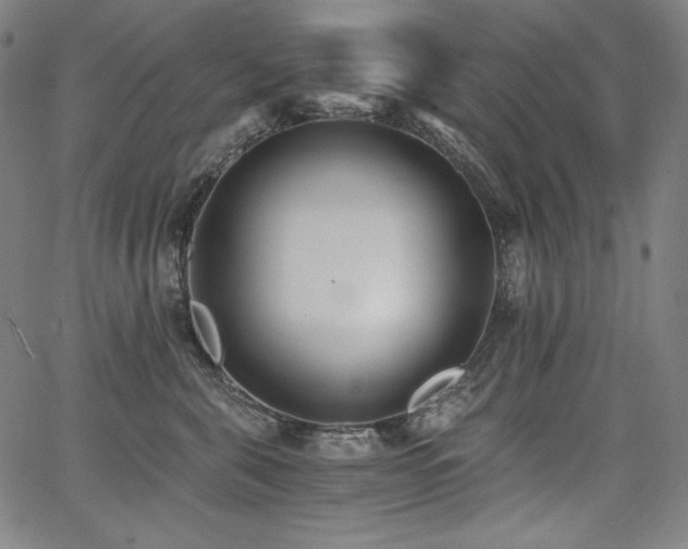 X0000068260571200604211048