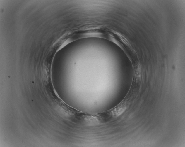 X0000068260572200604211048