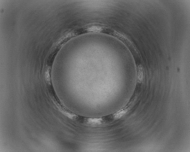 X0000068260573200604211048