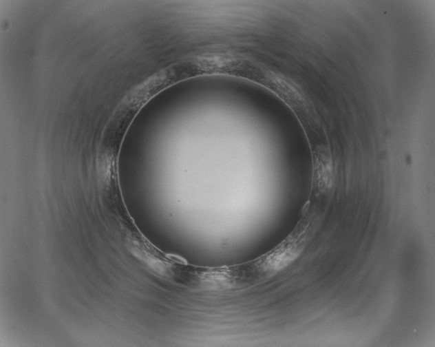 X0000068260574200604211048