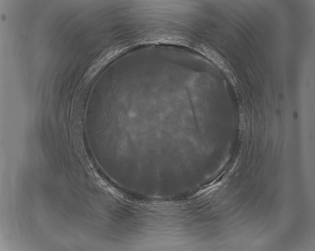 X0000068260577200604211047