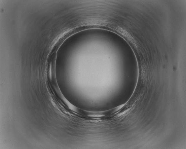 X0000068260580200604211047