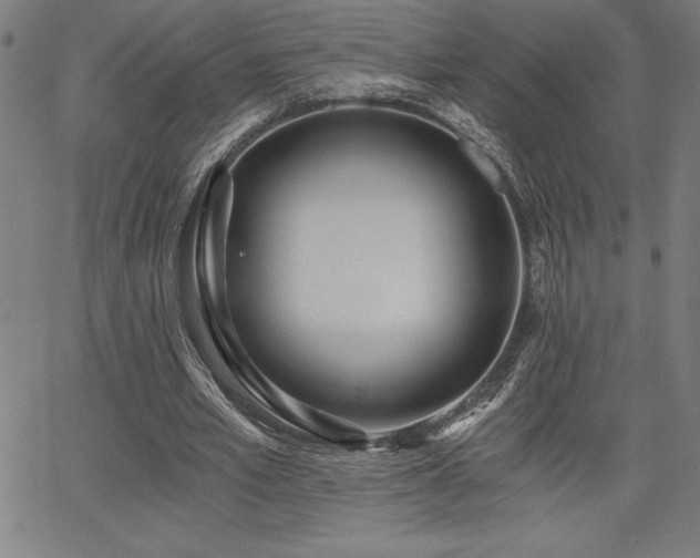 X0000068260581200604211047