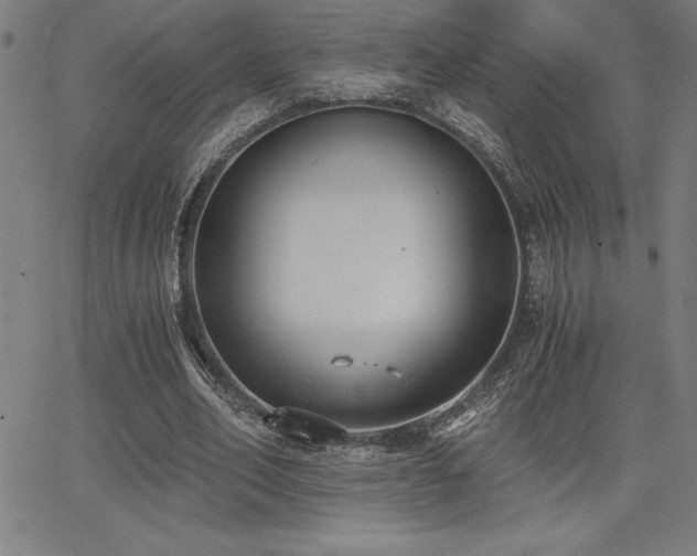 X0000068260582200604211047