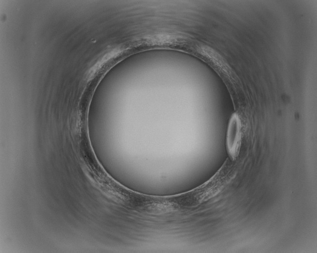 X0000068260583200604211047