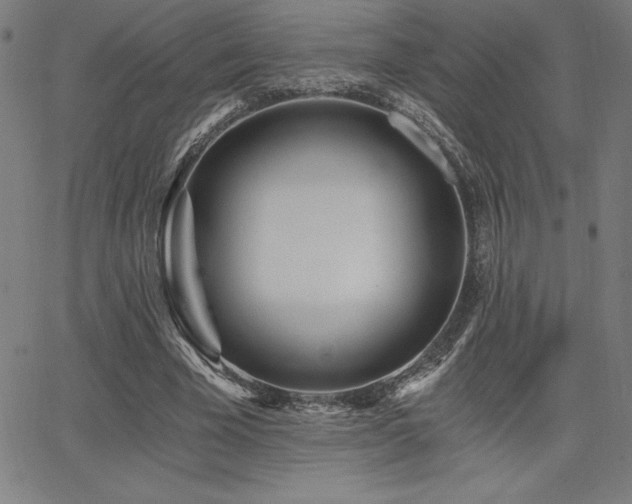 X0000068260585200604211047