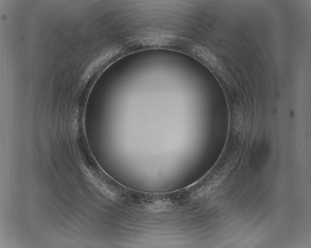 X0000068260586200604211047