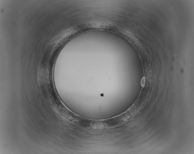 X0000068260587200604211047