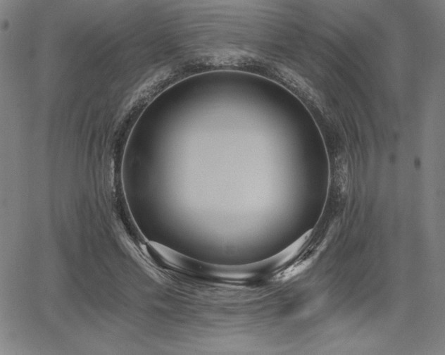 X0000068260589200604211047