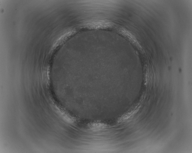 X0000068260590200604211047