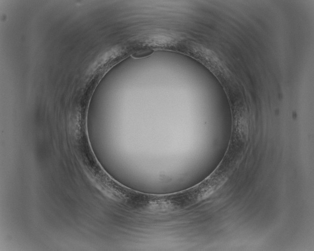 X0000068260591200604211047