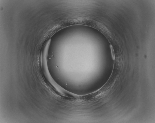 X0000068260593200604211047