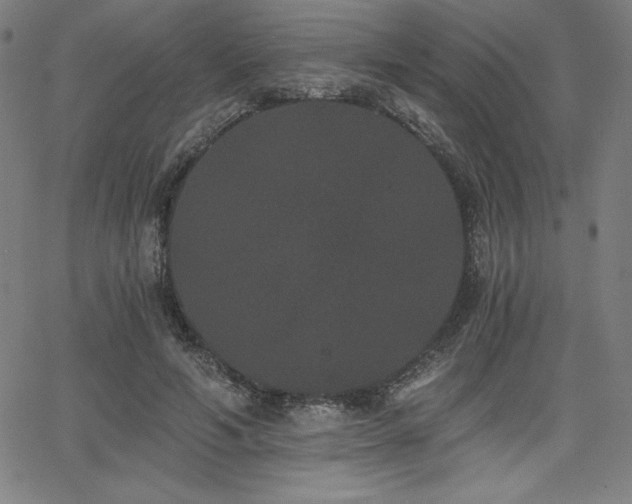 X0000068260594200604211046