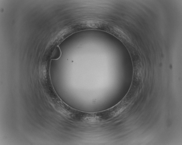 X0000068260595200604211046