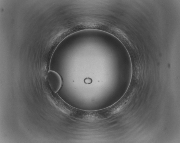 X0000068260596200604211046