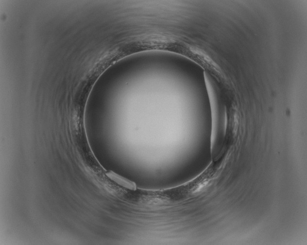 X0000068260597200604211046