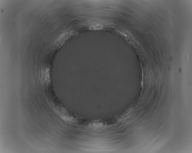 X0000068260598200604211046