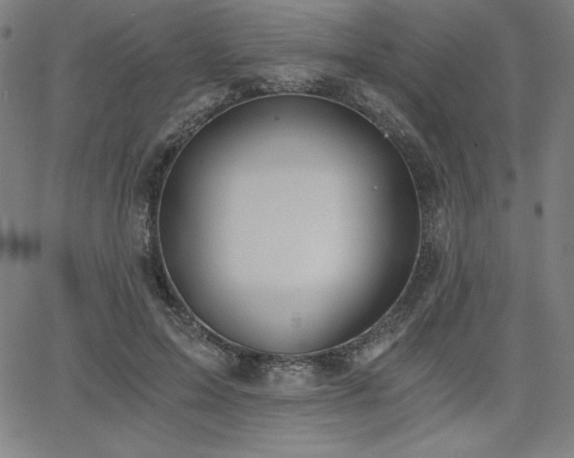 X0000068260599200604211046